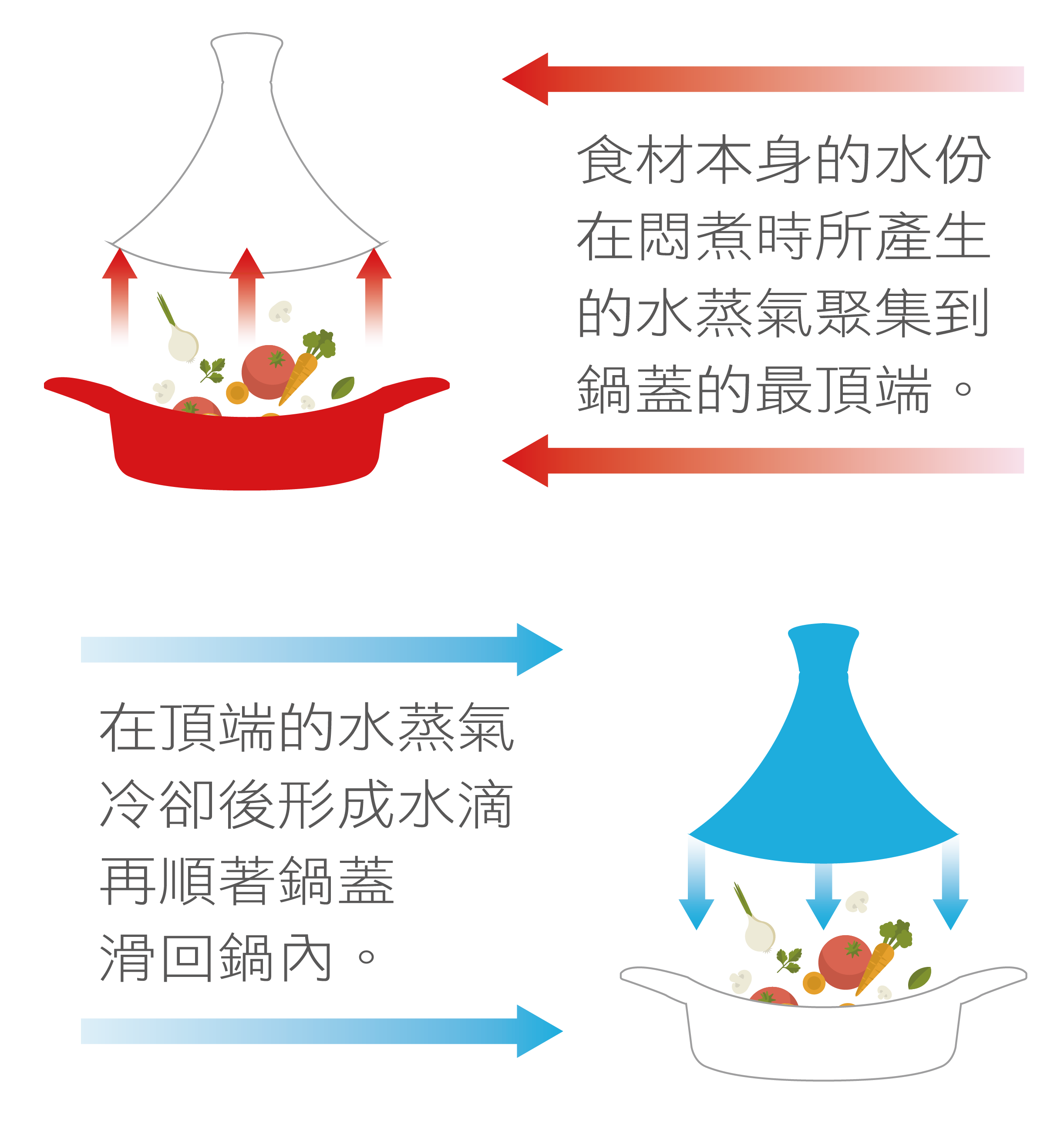 怎麼煮才會這麼好吃 Multee摩堤琺瑯鑄鐵鍋的料理工藝美學 Multee 摩堤琺瑯鑄鐵節能家電